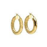Diana Hoops